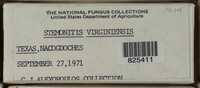 Image Associated With the Occurence